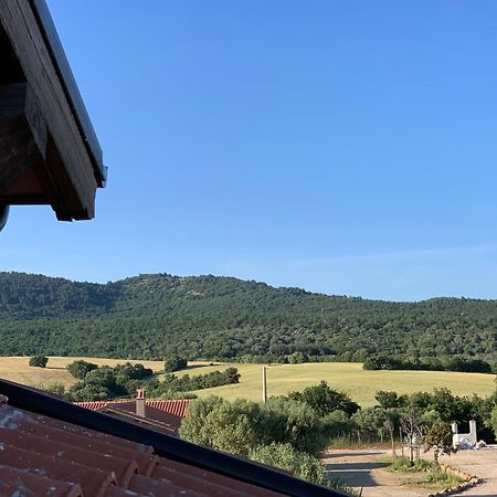 Il Poggio Di Musignano Villa Musignano  Exteriör bild